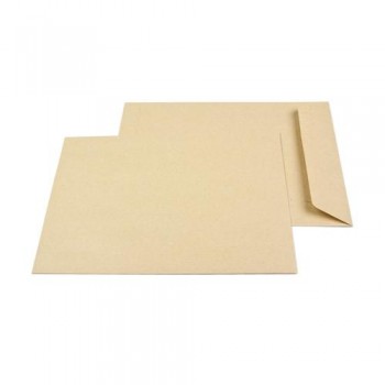 Bolsa kraft 184x261 tira adhesiva 250 unidades