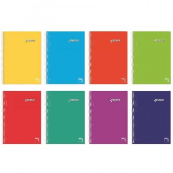 CUADERNO A4 MICROPERFORADO 160HJ 70G CUADRO 5MM GRECA T/FORRADA PP SURTIDO PACSA