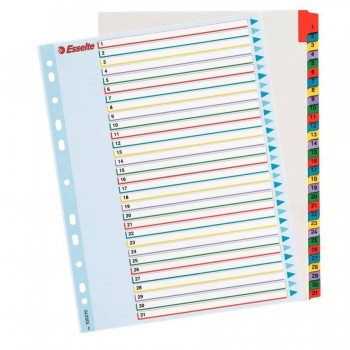 INDICE A4 NUMERICO 1-31 REESCRIBIBLE ESS