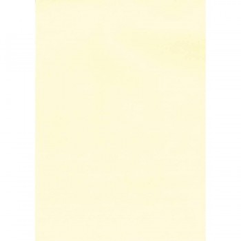 PAPEL VERJURADO CREMA A4 100 G 100 HOJAS APLI